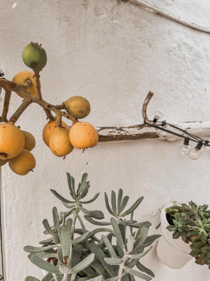 Ferienwohnung Apartamento C-Alma En El Corazon De Vejer Vejer de la Frontera Exterior foto